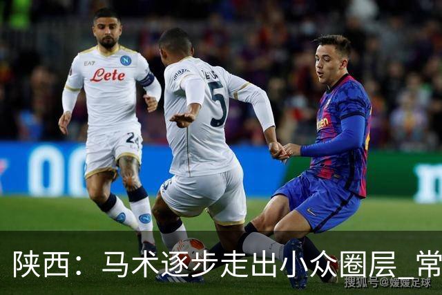 陕西：马术逐步走出小众圈层 常年参训人数达数千人